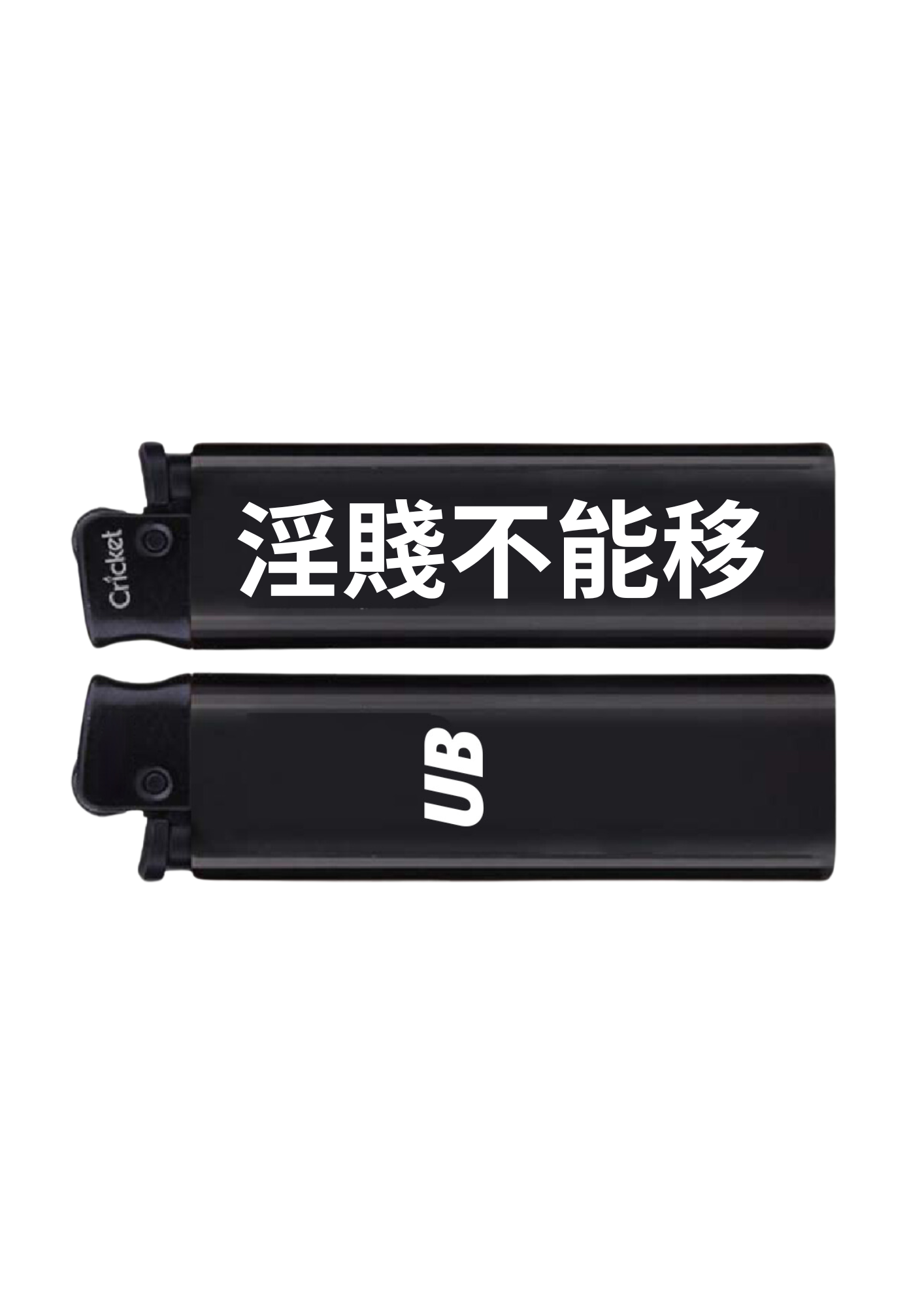 淫賤不能移